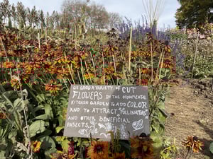 Floral Habitat Learning